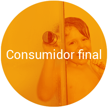 Consumidor Final